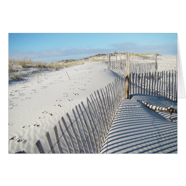 Schatten, Sanddünen und Zäune (Vorderseite (Horizontal))