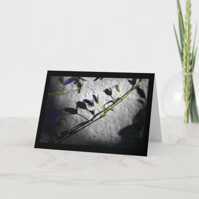 Schatten - Sympathiekarten Dankeskarte (Vorderseite)