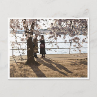 "Schatten unter dem Kirschbaum" Postkarte