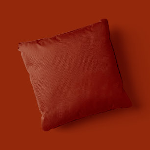 Schatten von Weihnachtswürzen - Zimt - Kissen