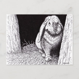 schattenhaftes zeichnend Kaninchen Postkarte