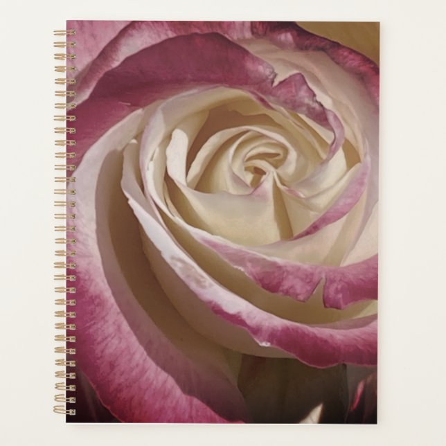 Schattenplaner für Rose Planer (Vorderseite)