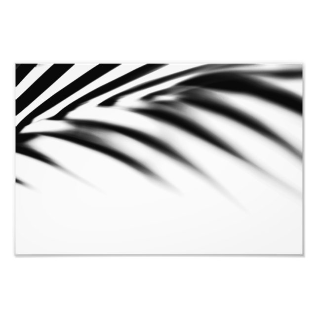 Schattenzen. Palmblätterblättern. Monochrom Fotodruck (Vorne)