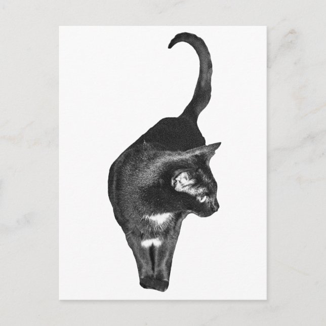 Schattierte Katze jubelt Postkarte (Vorderseite)