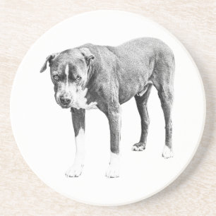 Schattierter Pit Bull-Untersetzer Getränkeuntersetzer