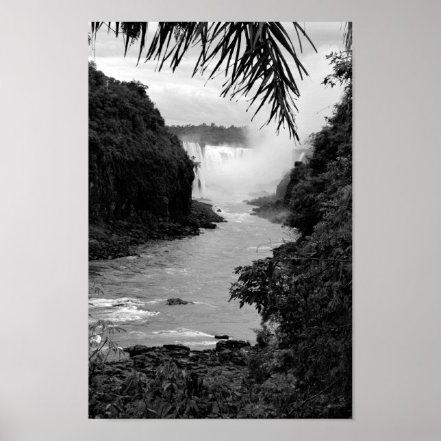 Schatz im Dschungel Poster (Vorne)