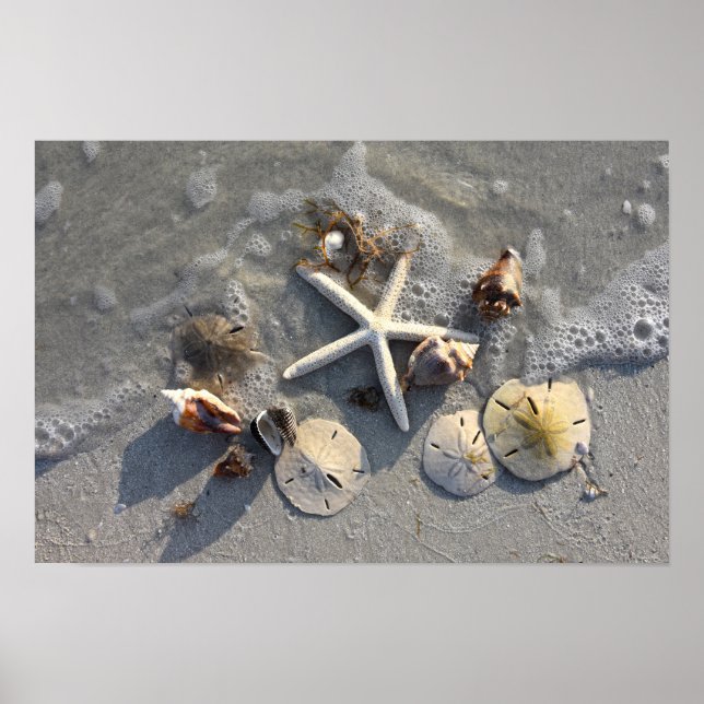 Schätze am Strand Poster (Vorne)
