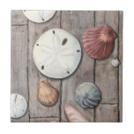 Schätze an der Küste Fliese<br><div class="desc">Megan Meagher ist bekannt für ihre einfachen Kunstwerke. Dieses Bild zeigt die Einfachheit der Schätze der Küste,  einschließlich Sand Dollars und Muscheln in einem pastellfarbenen Ton. Meagher umschließt einen hölzernen Hintergrund in ihrem Bild,  um diese Schätze zu kontrastieren. Holen Sie sich diesen Kunstdruck heute auf Holzfarbe auf Ihrem Zazzle-Produkt.</div>