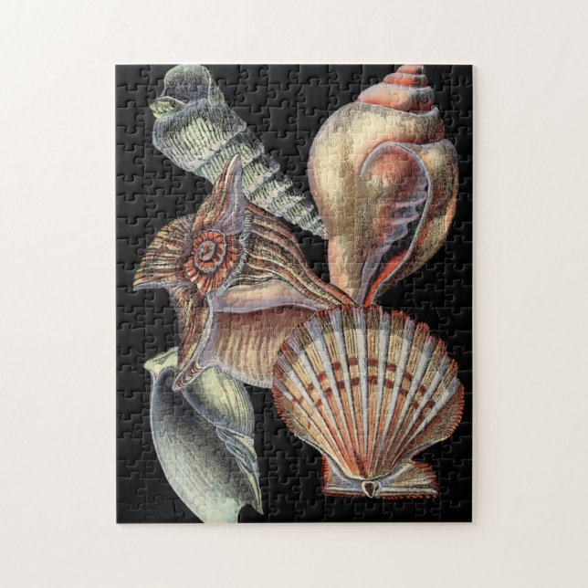 Schätze des Meeres (Vertikal)