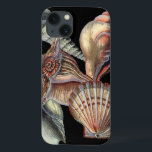 Schätze des Meeres Case-Mate iPhone Hülle<br><div class="desc">Dieser Kunstdruck zeigt die schönsten Dinge in der Natur des Ozeans. Auf diesem Bild finden Sie alle Arten von Meereslebewesen,  darunter eine Conch Seashell,  Sand Dollars und Riffe,  die tief im Meer vergraben sind. Diese Kunstsammlung ist ein Muss für Ihre nächsten Zazzle-Produkte.</div>