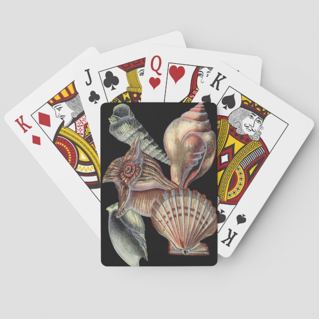 Schätze des Meeres Spielkarten (Rückseite)