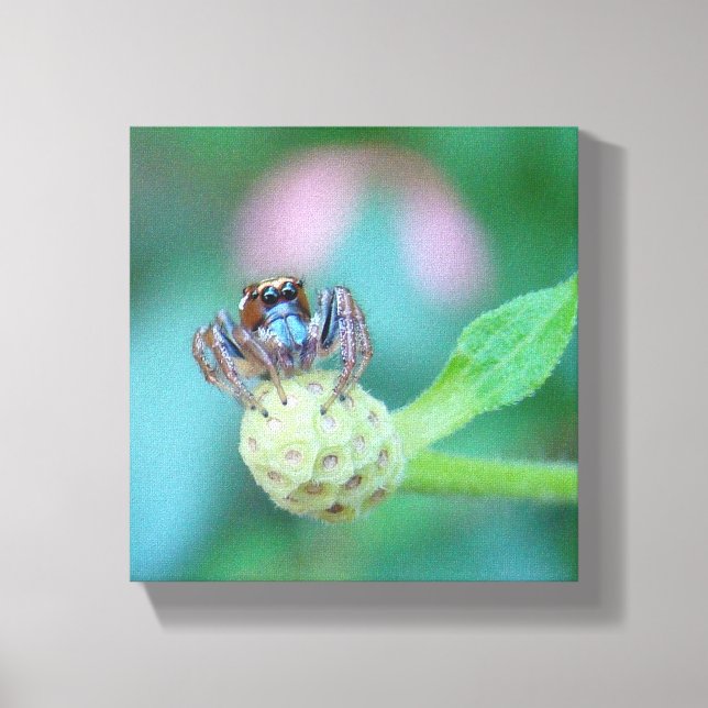 Schau dir diese Augen an! Leinwanddruck (Vorderseite)