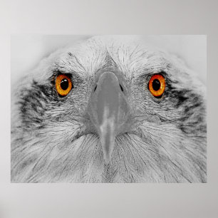 Schau in meine Augen Poster