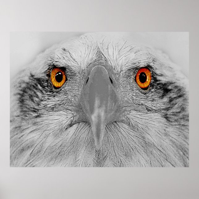 Schau in meine Augen Poster (Vorne)