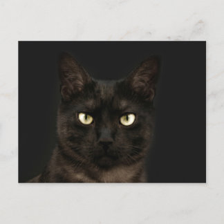 Schau in meine Augen Postkarte