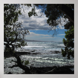 Schauen durch das Fenster Poster