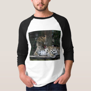 Schauen gut T-Shirt