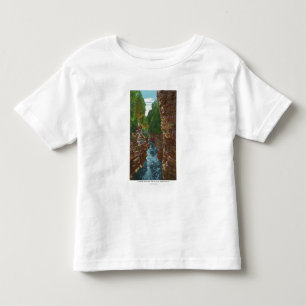 Schauen hinunter Ausable Abgrund von Hydes Höhle Kleinkind T-shirt