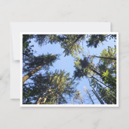 Schauen Postkarte