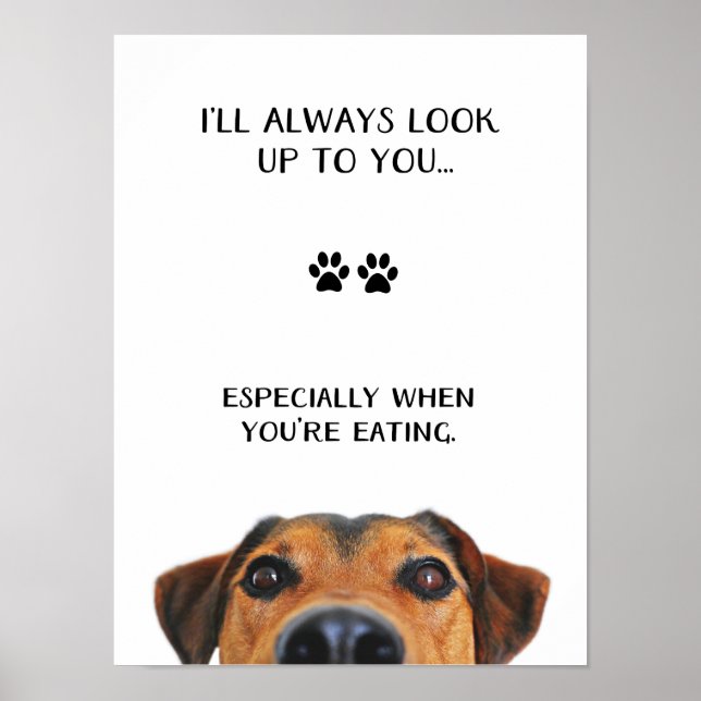 Schauen Sie auf Ihre lustige Hundeschrift Poster (Vorne)