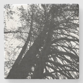 Schauen Sie in den Bäumen nach Steinuntersetzer