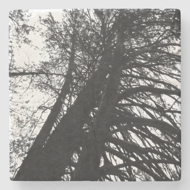 Schauen Sie in den Bäumen nach Steinuntersetzer (Vorderseite)