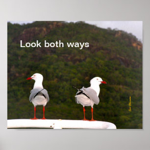 Schauen Sie Plakat beider Weisen