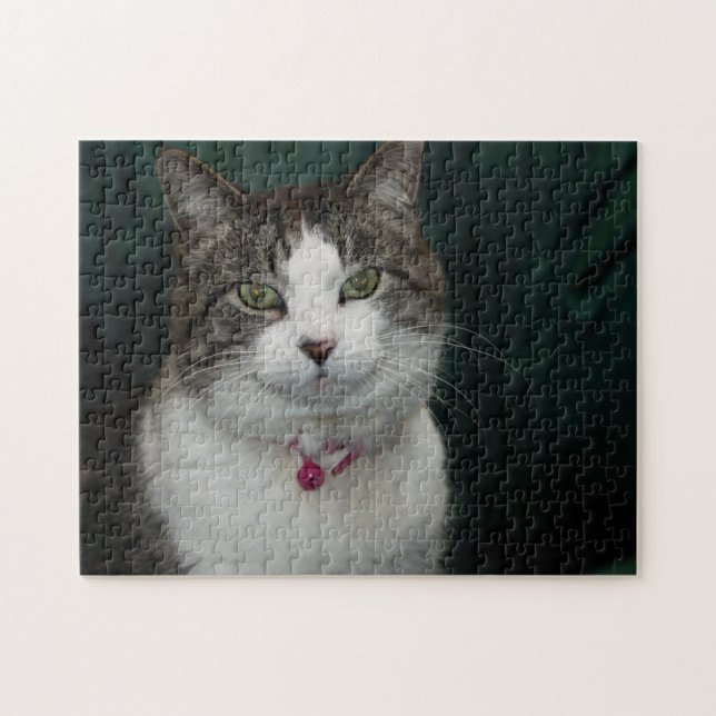 Schauen Sie sich das Jigsaw Puzzle an (Horizontal)