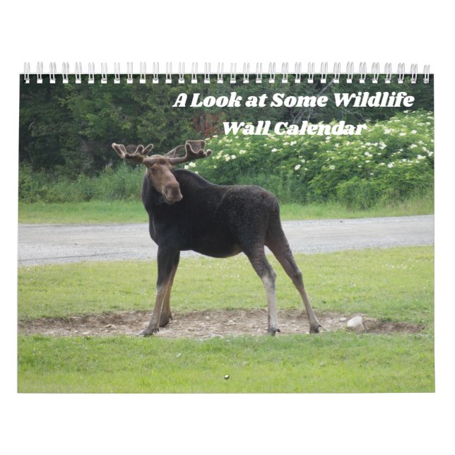 Schauen Sie sich den Terminkalender "Wildlife Wall Kalender (Titelbild)