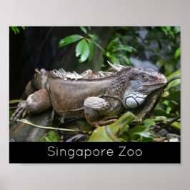 Schauen Sie sich Me Lizard Singapore Zoo Holiday a Poster