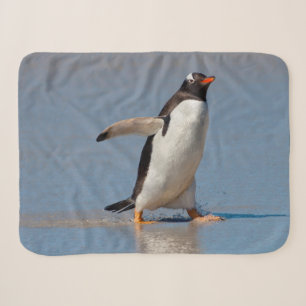 Schaufeln Gentoo Sherpa von Decke Sherpadecke