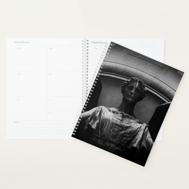 Schaukeln Planer (Anzeige)