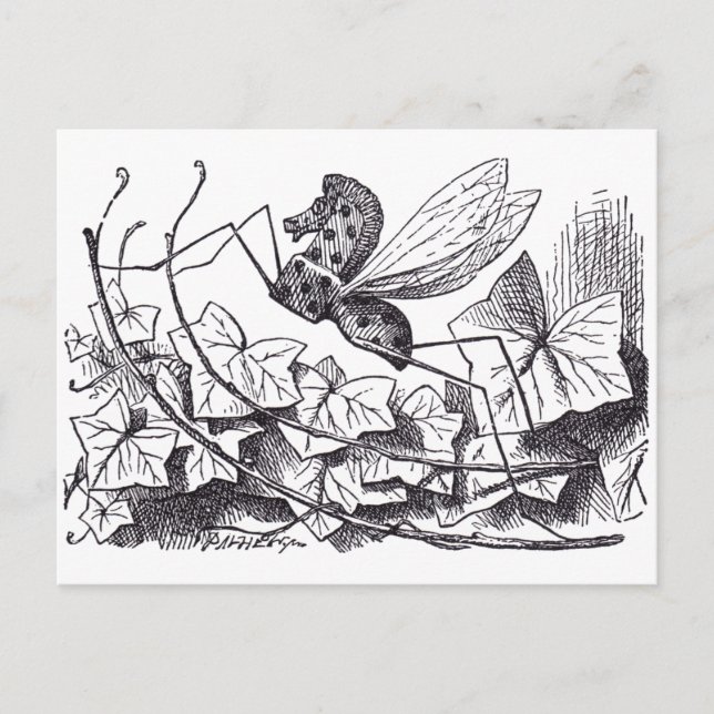 Schaukelpferdfliege Postkarte (Vorderseite)