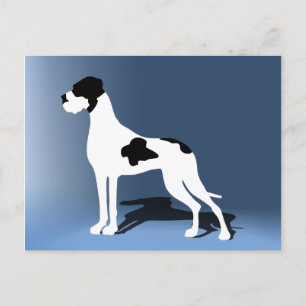 Schecke Deutsche Dogge Postkarte