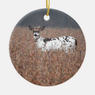 Scheckenhirsch-Foto-Ornament Keramik Ornament