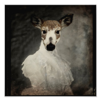 Scheckenhirsch in Kleid Fotodruck