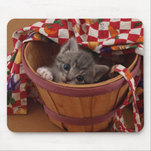 Scheffel Kerl-Miezekatze Mousepad