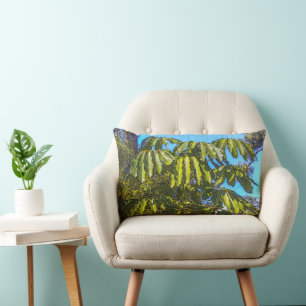Schefflera Schirme Rückenstützkissen Lendenkissen