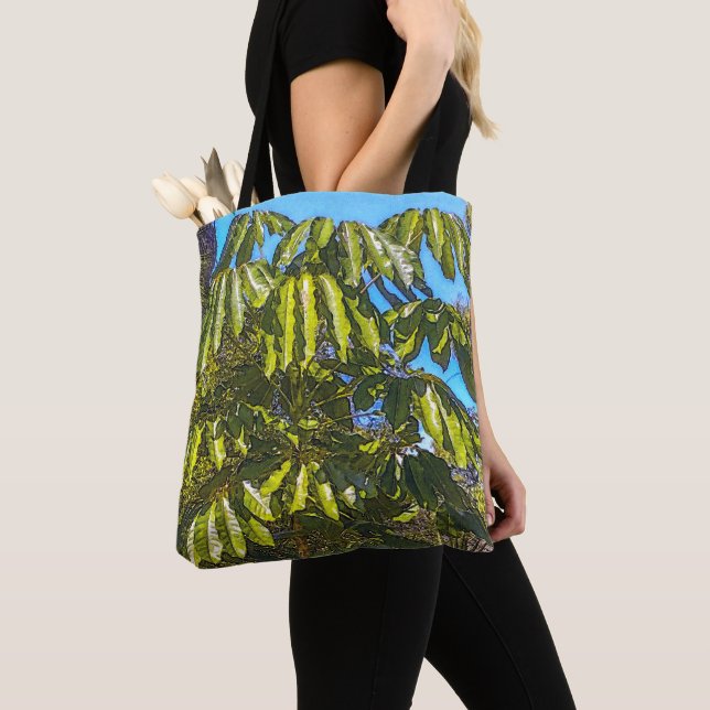 Schefflera Schirme Tragetasche Tasche (Von Nahem)