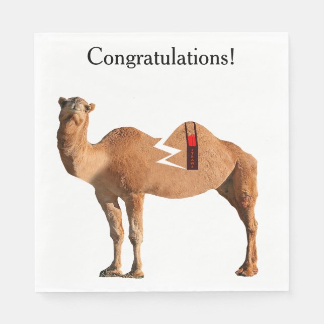 Scheidung Party Napkins Serviette (Vorderseite)