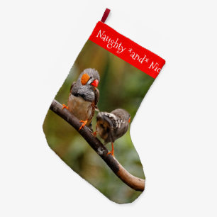Schelmische Zebrafinken Singvögel auf Ast Großer Weihnachtsstrumpf
