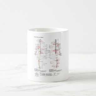 Schematische Darstellung der chinesischen Ärzte de Kaffeetasse