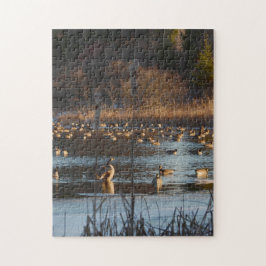 SCHERZENDE GÄNSE. Puzzlespiel des Foto-11x14 mit