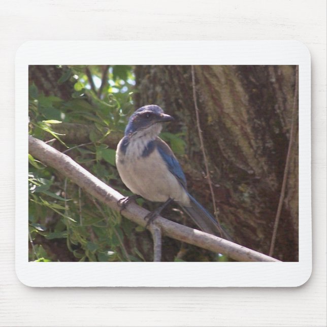 Scheuern Sie Jay Mousepad (Vorne)