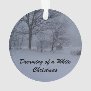 Scheune in einem Maine-Schneesturm Ornament
