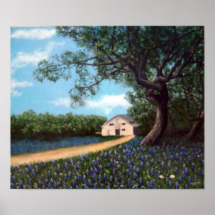 Scheune mit Bluebonnets Poster