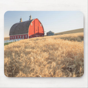 Scheune, Sommerweizenfelder nähern sich Sprague, Mousepad