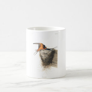 Scheunen-Schwalbe Audubon Platten-173 Kaffeetasse