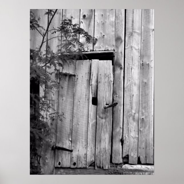Scheunentor mit Baum Poster (Vorne)