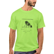 Schichten eines NahrungsmittelwaldPermaculture